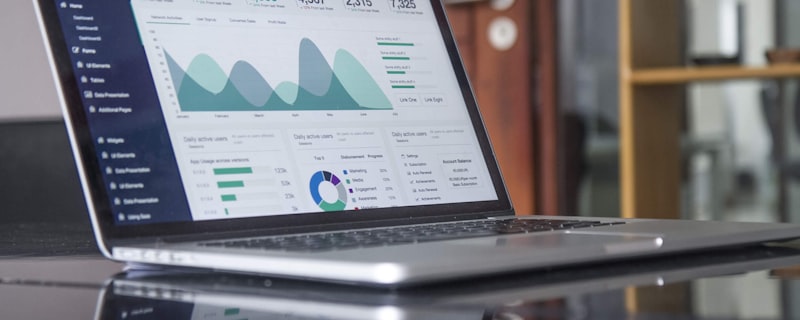 SEO & Local Search Optimization