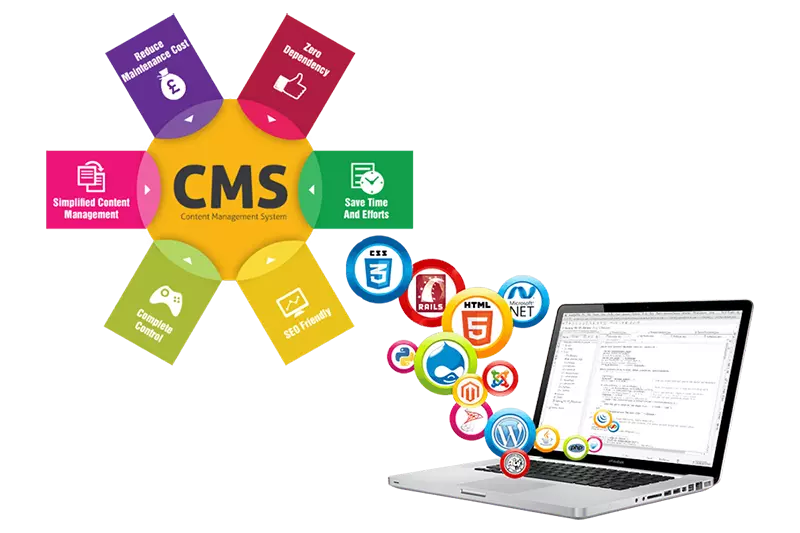 cms1